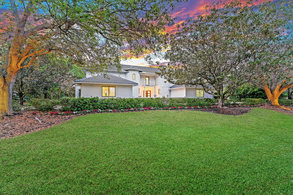 Media Image 1