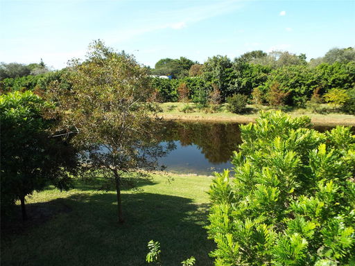 Media Image 2