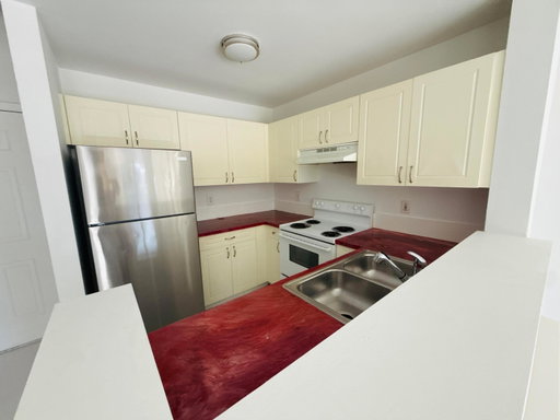 Media Image 3