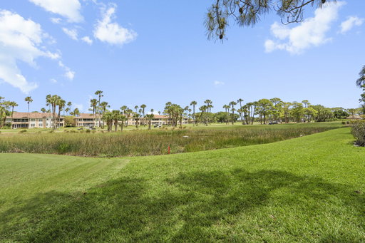 Media Image 3
