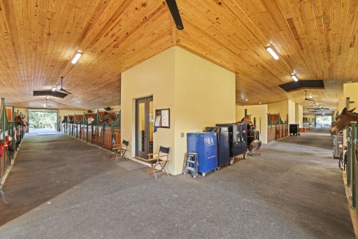 Media Image 3