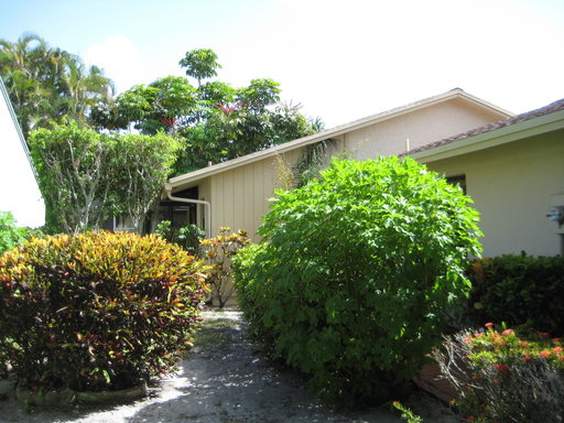 Media Image 2