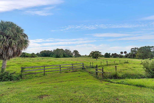 Media Image 3
