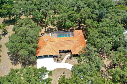 Media Image 3