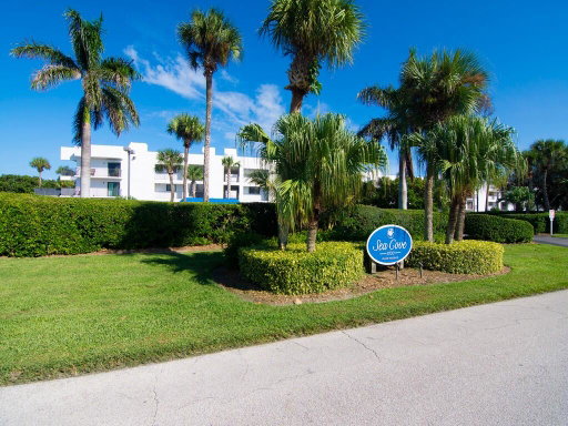 Media Image 2