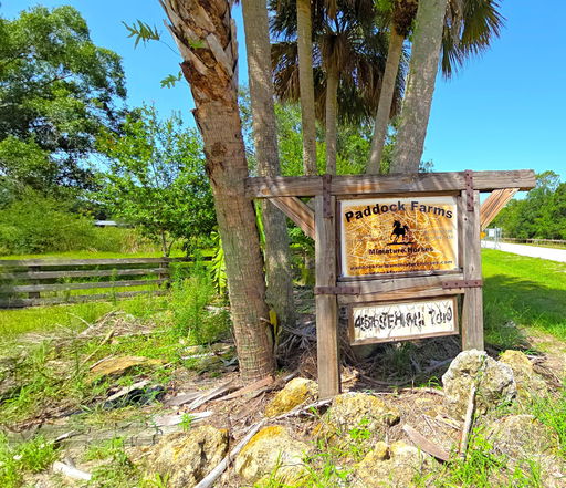 Media Image 3