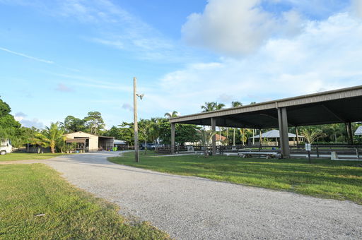 Media Image 3