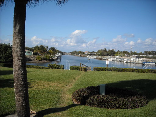 Media Image 3