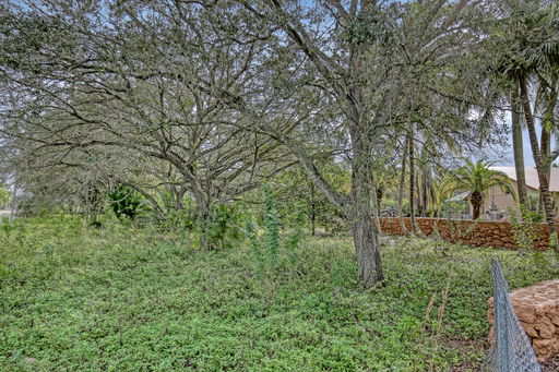 Media Image 3