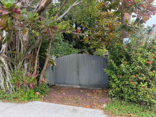 Media Image 3
