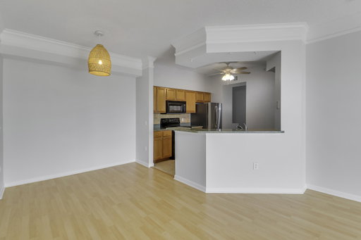 Media Image 3