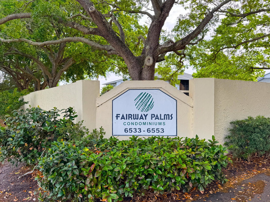 Media Image 1