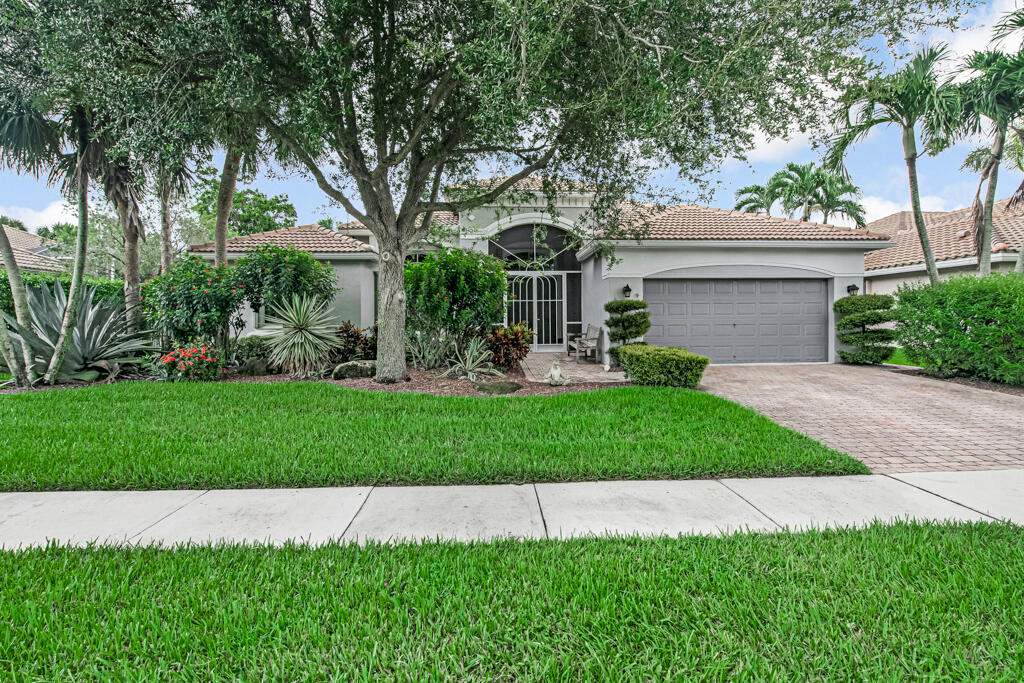 Image Unavailable
