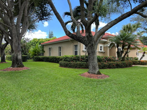 Media Image 3
