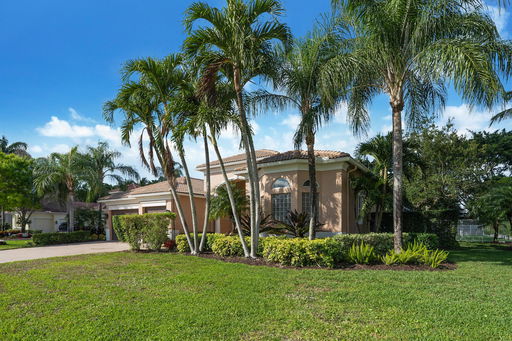 Media Image 3