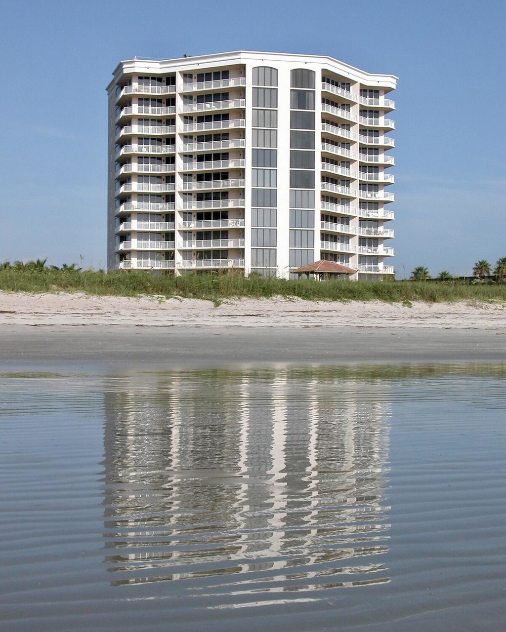 Media Image 1