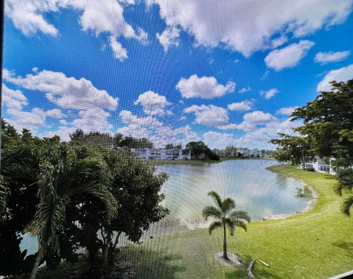 Media Image 3