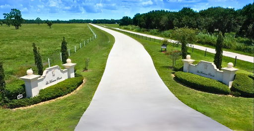 Media Image 2
