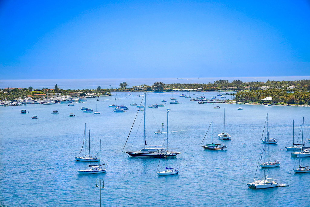 Media Image 1