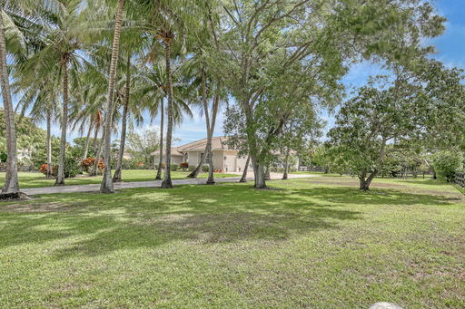Media Image 3