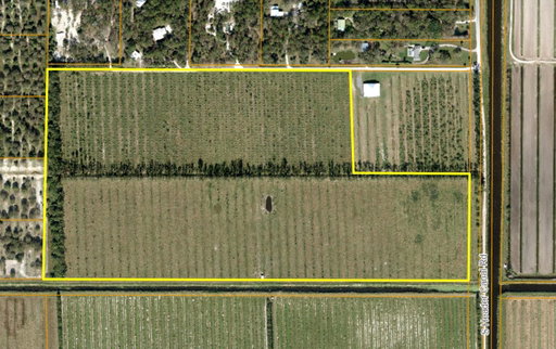 listing main photo