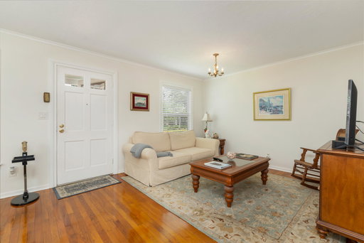 Media Image 3