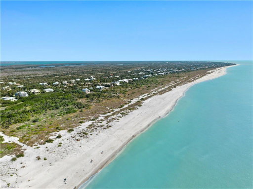 Media Image 3