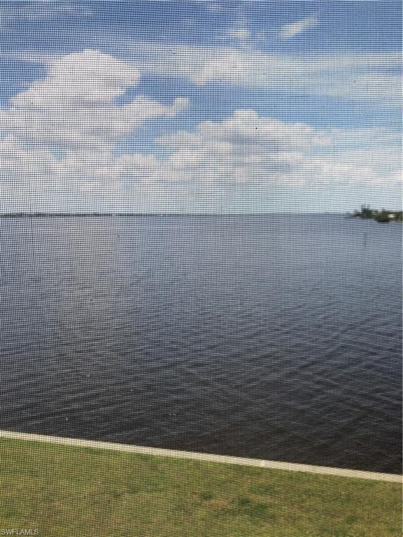 Media Image 1