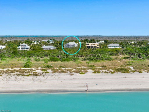 Media Image 2