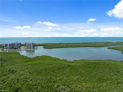 Media Image 2