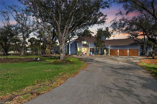 Media Image 3