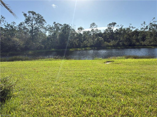 Media Image 3