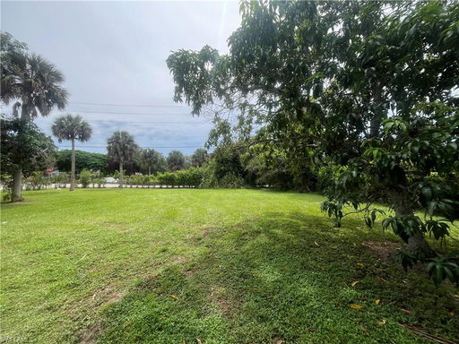 Media Image 3