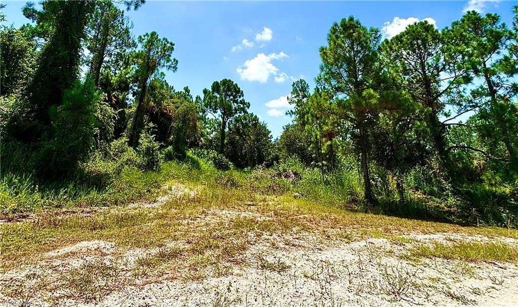 Image Unavailable