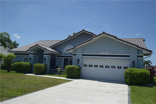 Media Image 3