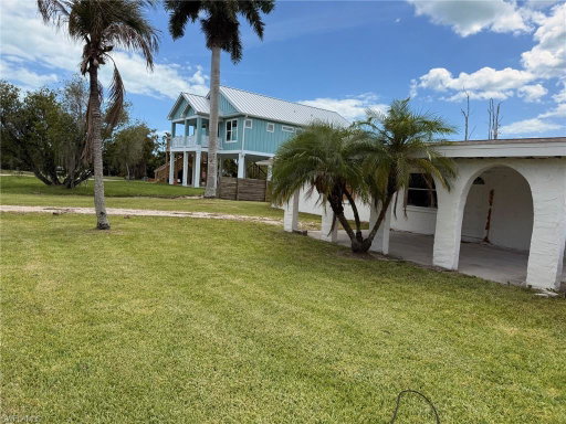 Media Image 3