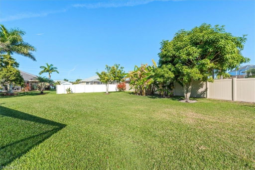 Media Image 3
