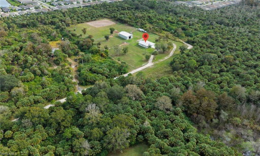 Media Image 2