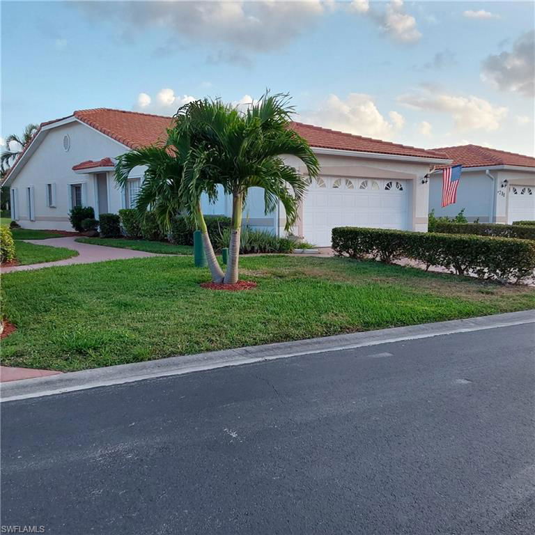Media Image 1