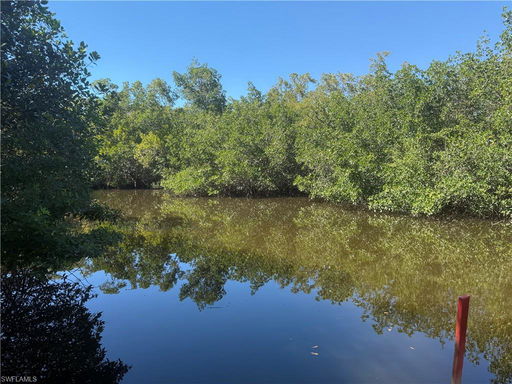 Media Image 2