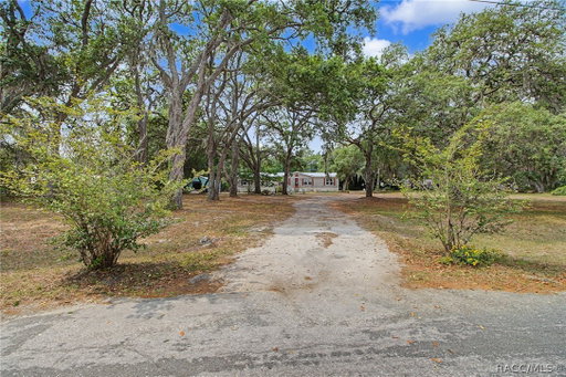 Media Image 3