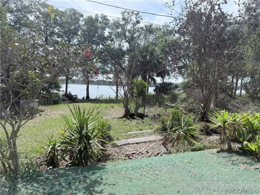 Media Image 2