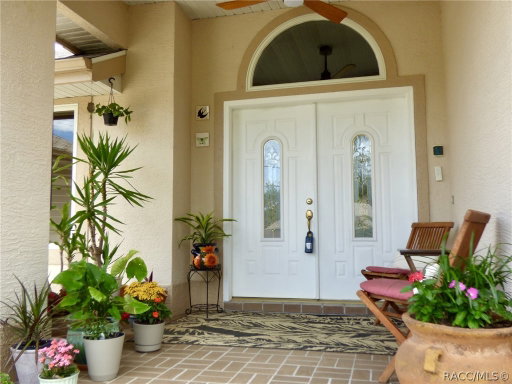 Media Image 3