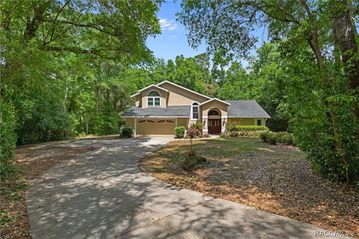 Media Image 3