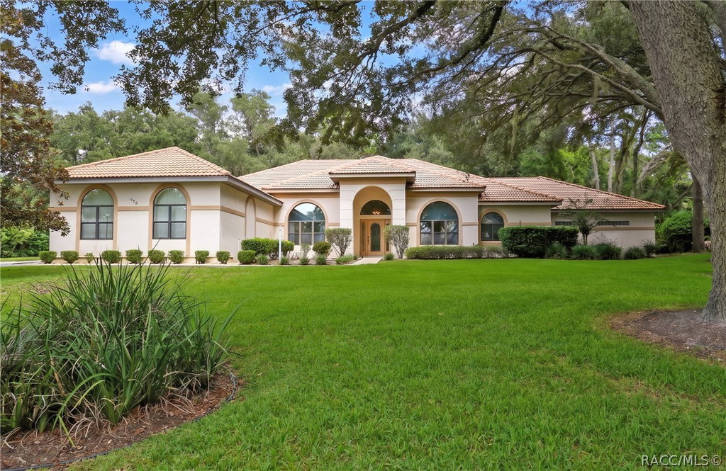 Media Image 1