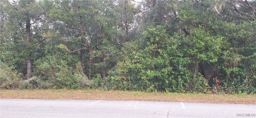 Media Image 2