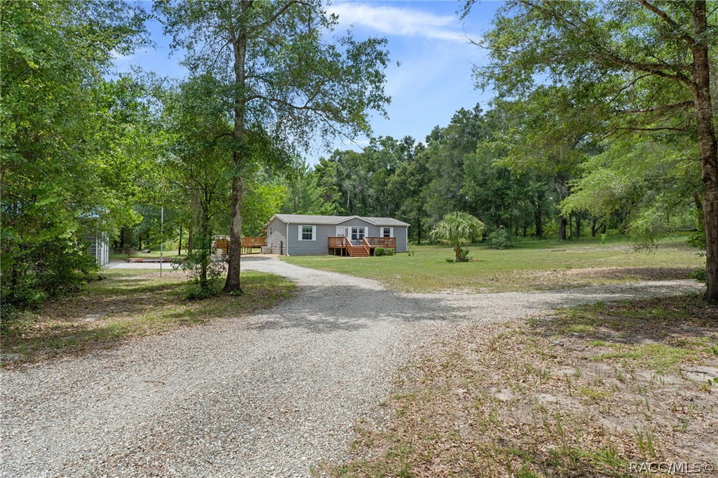 Media Image 1