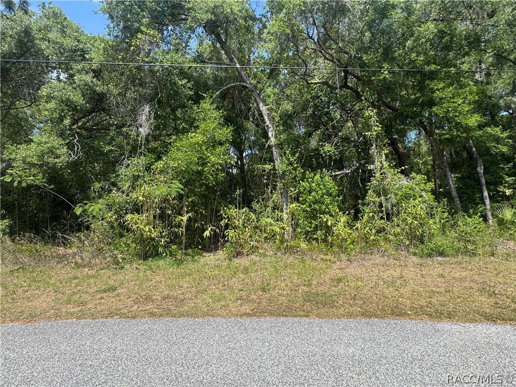 Image Unavailable