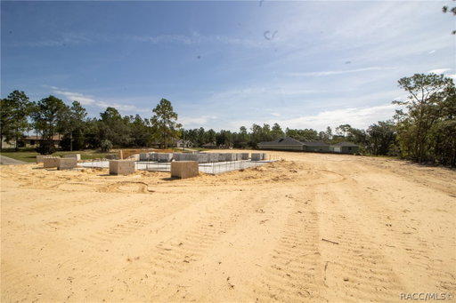 Media Image 2