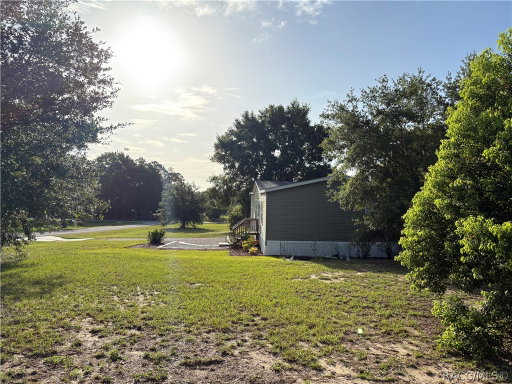Media Image 3